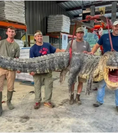 a-1-png-1536916664-jpg.