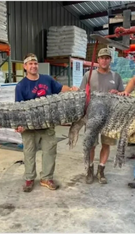 a-1-png-1536916664-jpg.