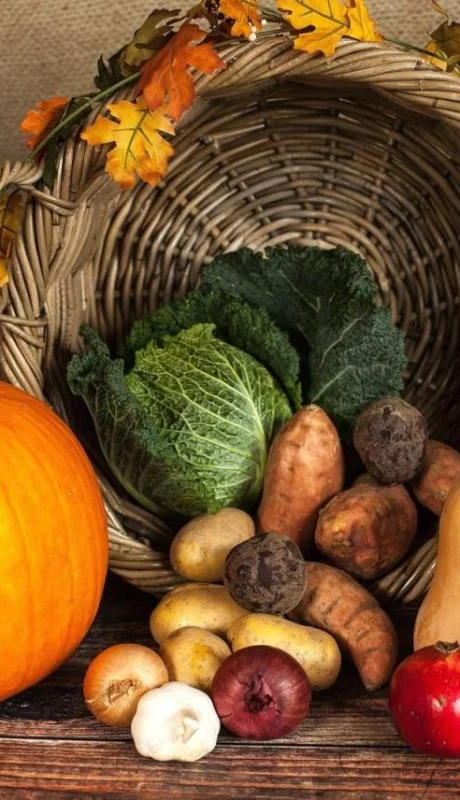 pexels-pixabay-219794-jpg.