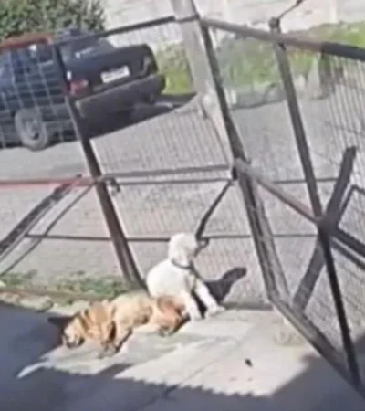 eade607f-3599-466e-b9ac-25c34382b829-jpg.