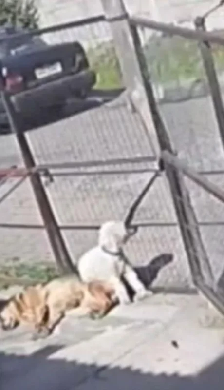 eade607f-3599-466e-b9ac-25c34382b829-jpg.