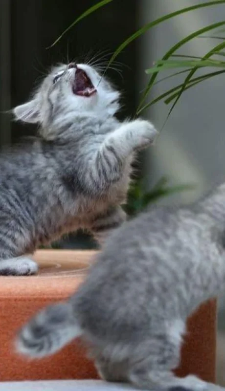 getpaidstock-com--64d286353b634-jpg.