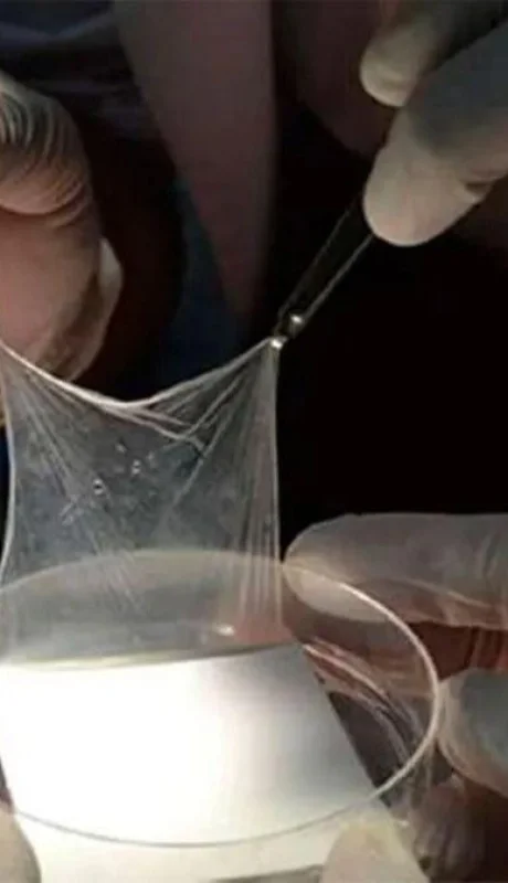 parches-placenta-salud-tecnologia-png.