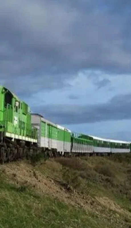 tren-patagonico-1-jpg.
