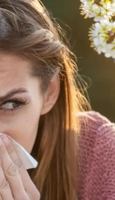 771433127-233934515-1706x960-webp.