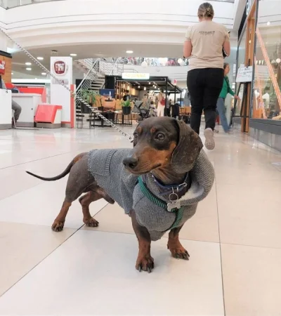 whatsapp-image-2023-08-13-at-16-23-13-jpeg.