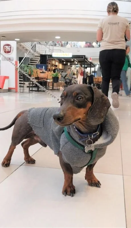 whatsapp-image-2023-08-13-at-16-23-13-jpeg.