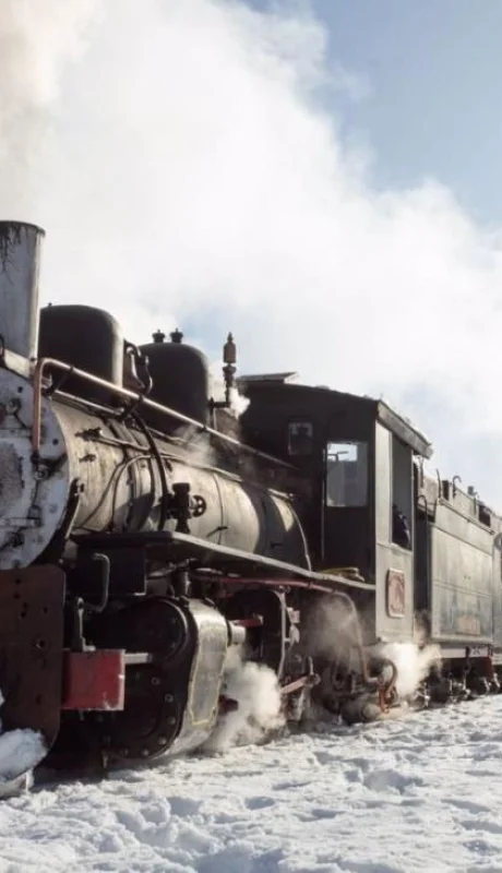 La Trochita confirmó salidas y tarifas para el invierno 2025