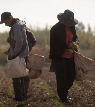 portada-explotacion-laboral-jpg.