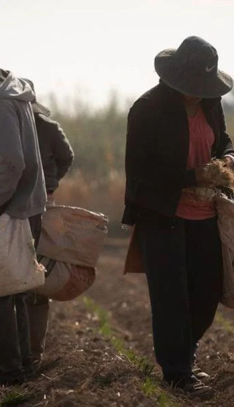 portada-explotacion-laboral-jpg.