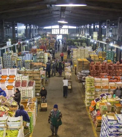 mercado-central-buenos-aires-png.