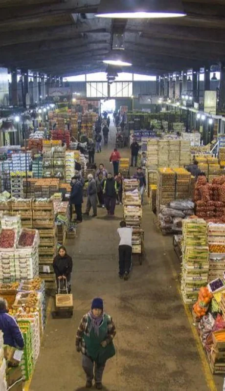 mercado-central-buenos-aires-png.