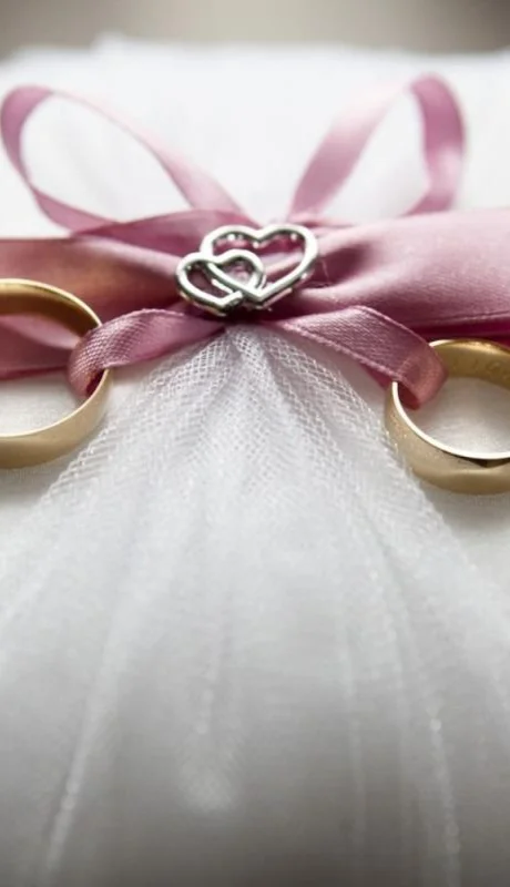 pexels-pixabay-265856-jpg.