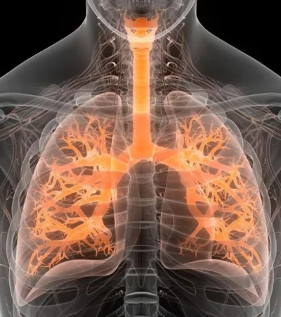 epoc-cigarrillo-salud-argentina-png.