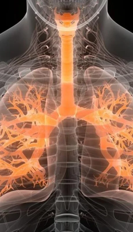 epoc-cigarrillo-salud-argentina-png.