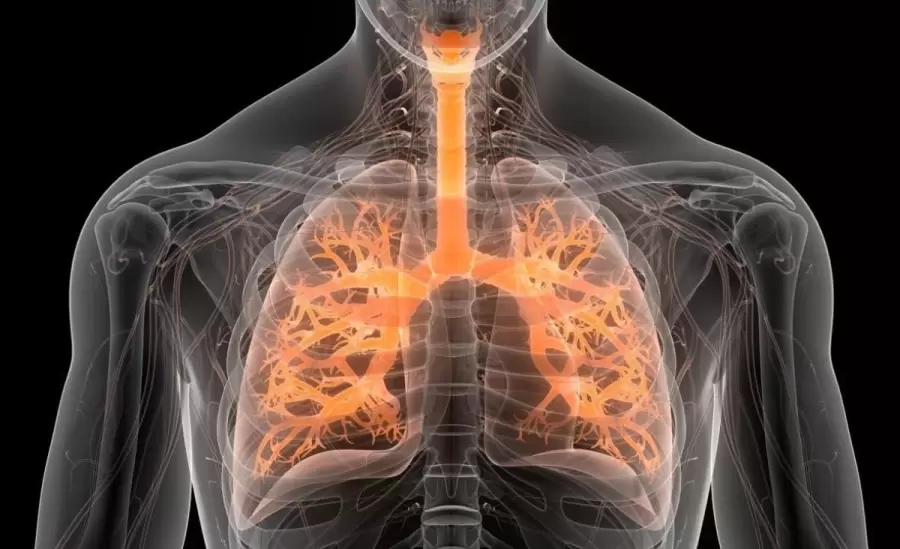 epoc-cigarrillo-salud-argentina-png.