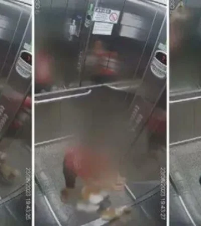 ascensor-nene-perro-ahorcado-jpg.