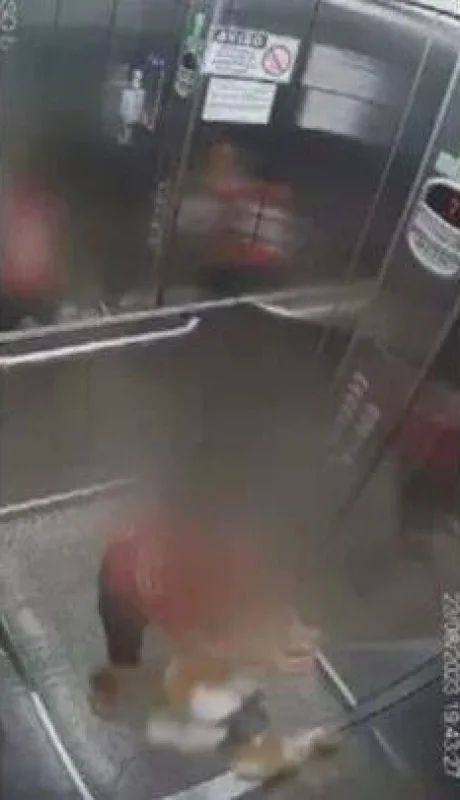 ascensor-nene-perro-ahorcado-jpg.