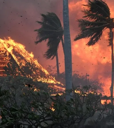 2023081122214972-1691785739-asset-still-jpeg.