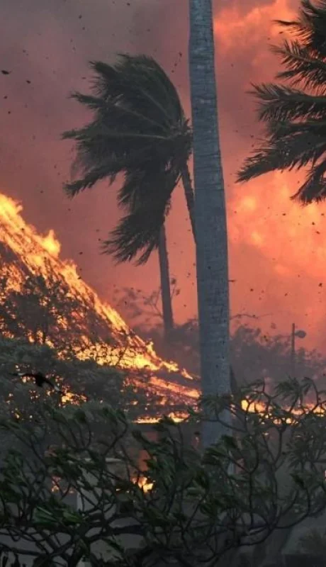 2023081122214972-1691785739-asset-still-jpeg.