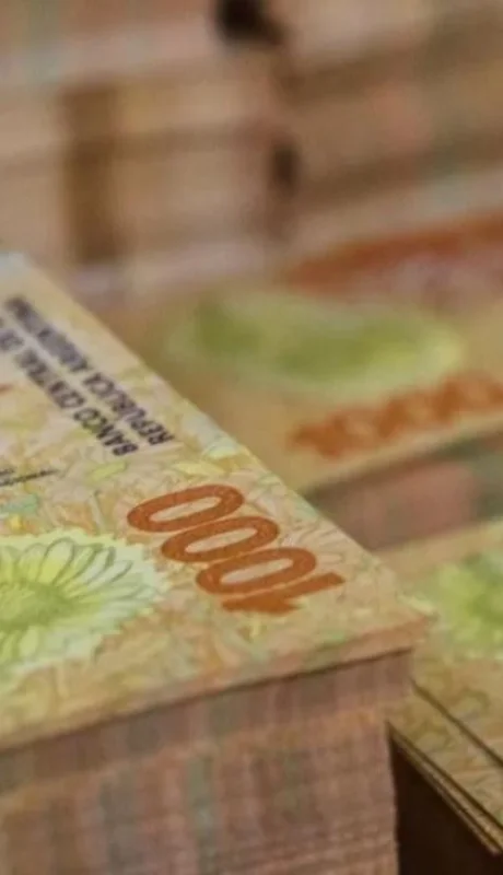 pesos-argentinos-png.