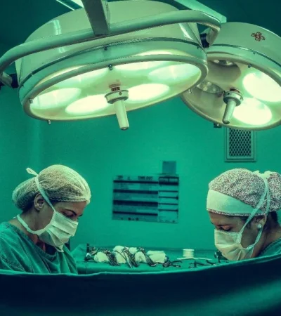 pexels-vidal-balielo-jr-1250655-jpg.