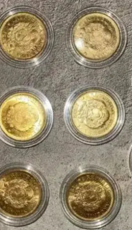 monedas-argentinas-orowebp-jpg-635732622-webp.