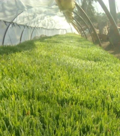 2a34d1d0-9419-4c36-86d8-f04d7c2b5b6f-jpg.