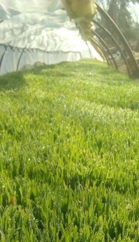 2a34d1d0-9419-4c36-86d8-f04d7c2b5b6f-jpg.