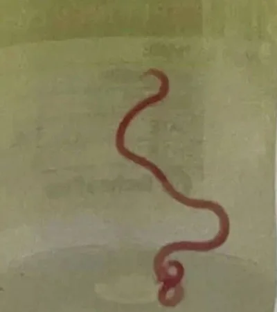 f-elconfidencial-com-original-f7a-380-b1f-f7a380b1fdf7ffaa2067743c75eea863-jpg.