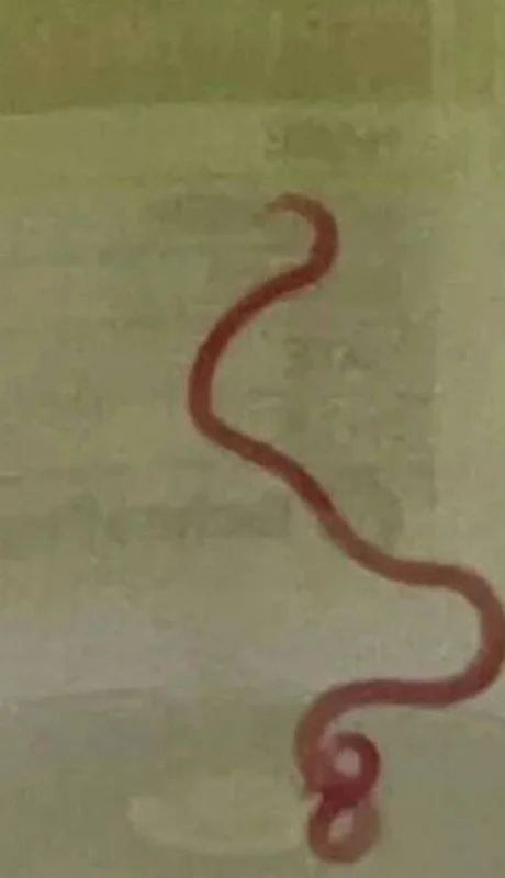 f-elconfidencial-com-original-f7a-380-b1f-f7a380b1fdf7ffaa2067743c75eea863-jpg.