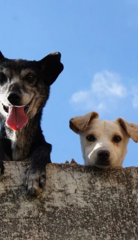 pexels-edgar-daniel-hernandez-cervantes-3628100-jpg.