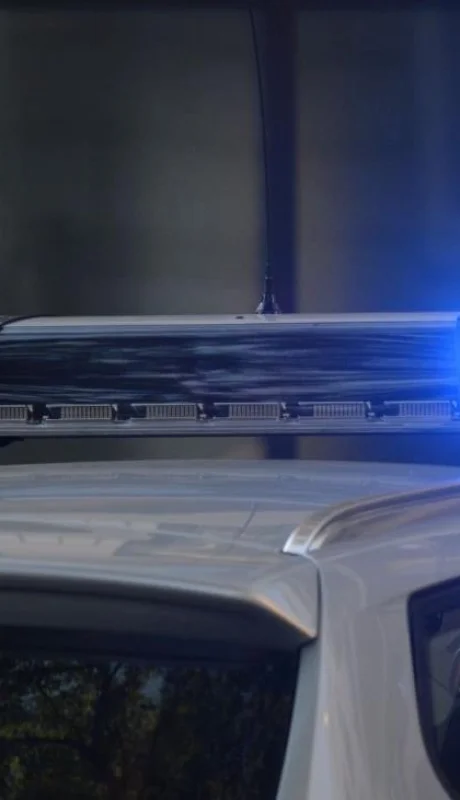 pexels-pixabay-532001-jpg.