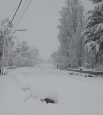 whatsapp-image-2023-08-23-at-08-58-49-jpeg.