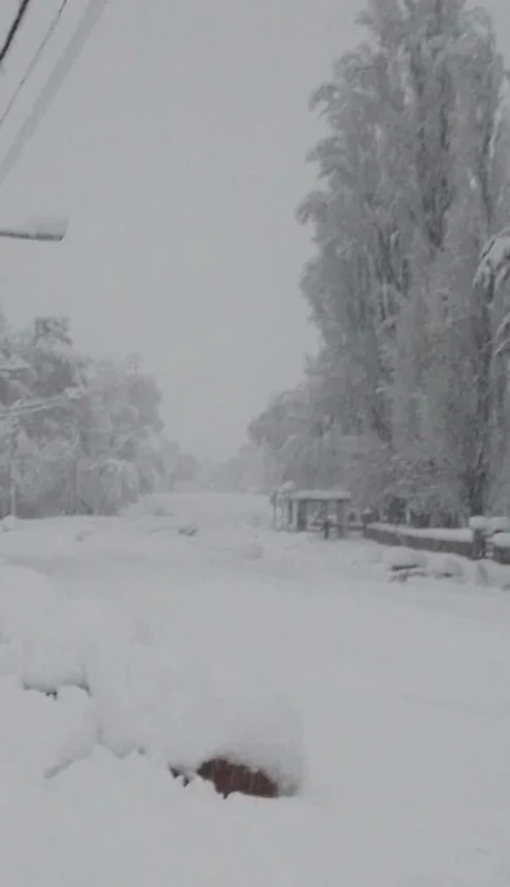 whatsapp-image-2023-08-23-at-08-58-49-jpeg.