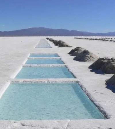 litioargentinajpg-jpg.