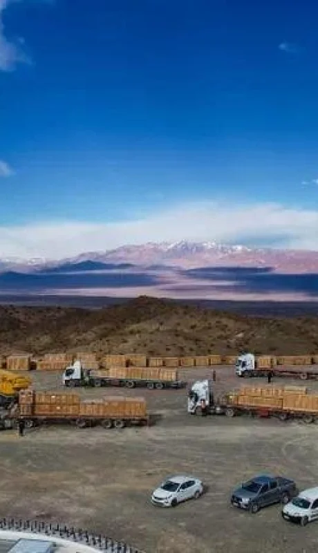 whatsapp-image-2023-08-09-at-182857-4jpeg-jpg.