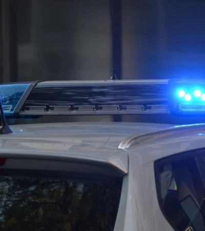 pexels-pixabay-532001-jpg.