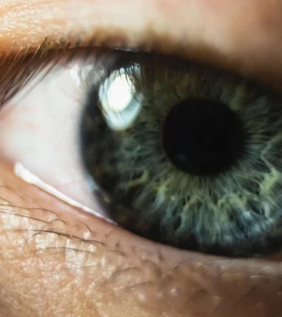 pexels-wojtek-pacze--3695875-jpg.