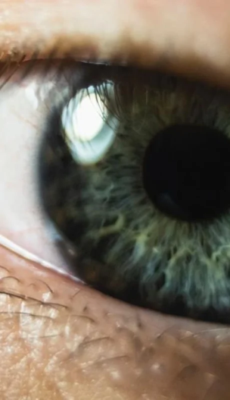 pexels-wojtek-pacze--3695875-jpg.