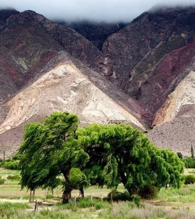 11331564824-95d77c80b4-b-jpg.