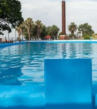 pileta-ameba-come-cerebros-png.