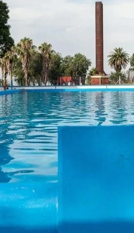 pileta-ameba-come-cerebros-png.