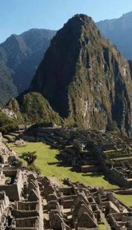 651469ad0b9e3c6dff4a5b43-png.