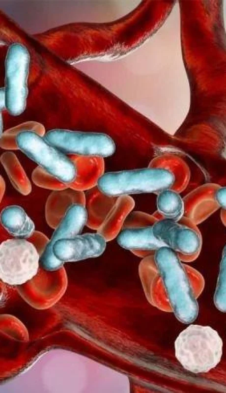 ae6205e96edc45b957564d69911ce652-jpg.