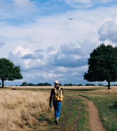 pexels-clem-onojeghuo-211047-jpg.