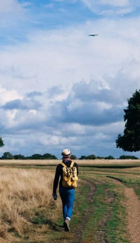 pexels-clem-onojeghuo-211047-jpg.