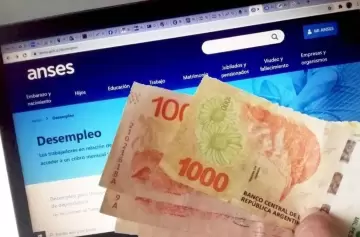 Fondo de Desempleo ANSES: fechas de cobro, montos y todos los requisitos