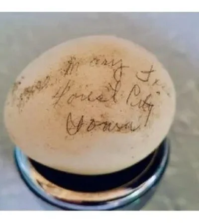 whatsapp-image-2023-09-06-at-09-18-39-3-jpeg.