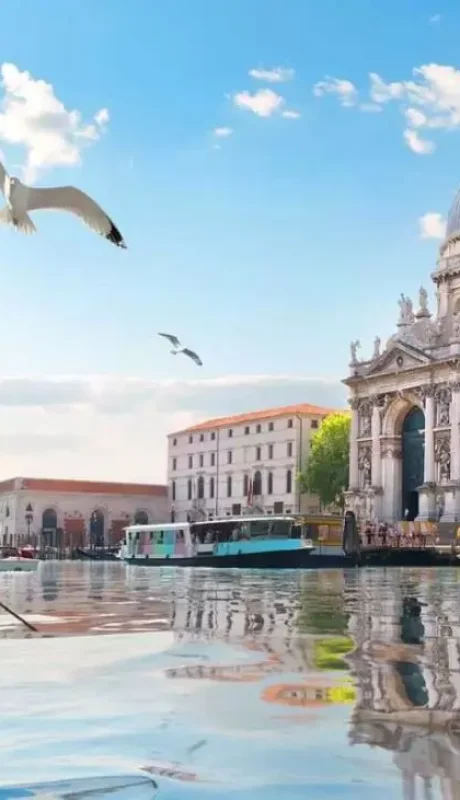 1600x900-venezia-san-marco-gabbiano-2-webp.